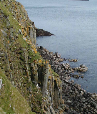 Puffins nesting on the Shiants