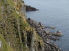 Puffins nesting on the Shiants